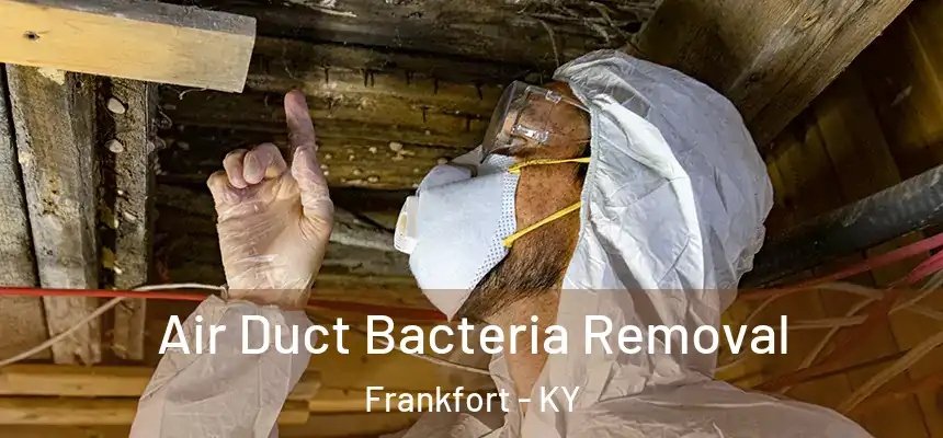  Air Duct Bacteria Removal Frankfort - KY