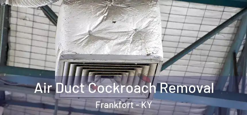 Air Duct Cockroach Removal Frankfort - KY