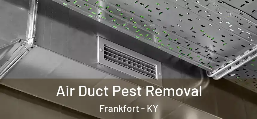 Air Duct Pest Removal Frankfort - KY