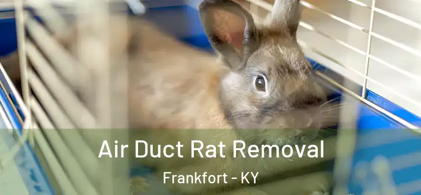  Air Duct Rat Removal Frankfort - KY