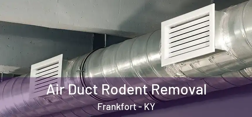 Air Duct Rodent Removal Frankfort - KY