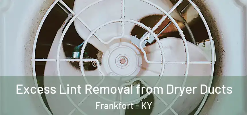  Excess Lint Removal from Dryer Ducts Frankfort - KY