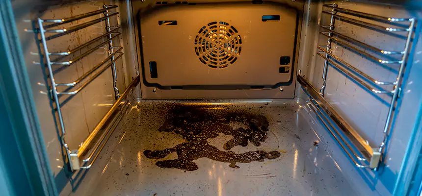 Our Dryer Vent Mold Cleaning Services in Frankfort, KY