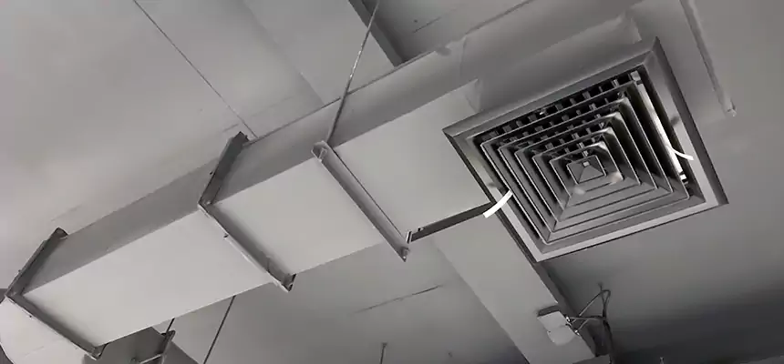 Our Pest Removal From Ducts Services in Frankfort, KY