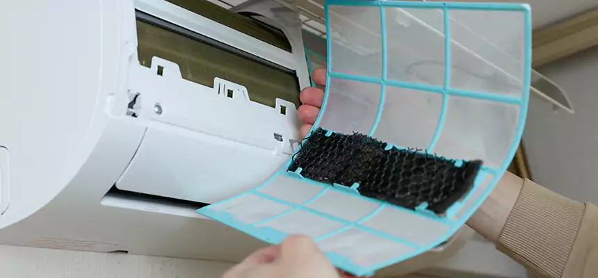 Gentle Ductwork Odor-Control Pet Dander Duct Cleaning in Frankfort, KY