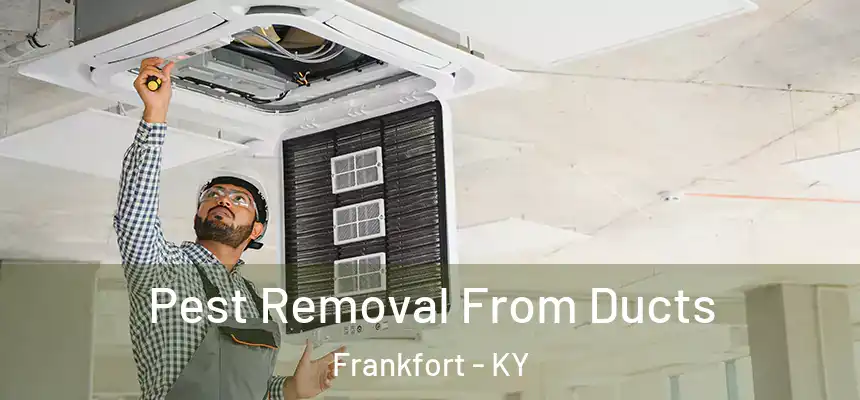 Pest Removal From Ducts Frankfort - KY