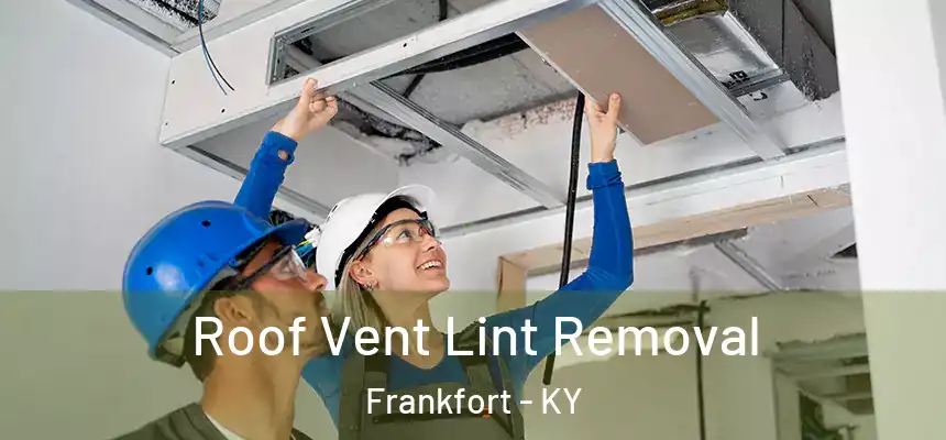  Roof Vent Lint Removal Frankfort - KY