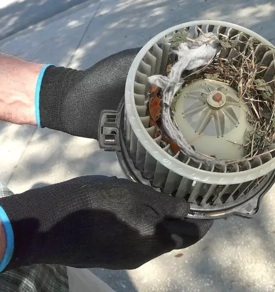 About Air Duct Mice Removal in Frankfort, KY