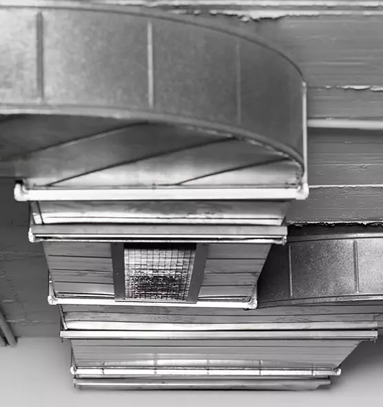 Professional Air Duct Pest Removal in Frankfort, KY