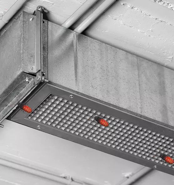 Affordable Insect Removal from Air Ducts in Frankfort, KY