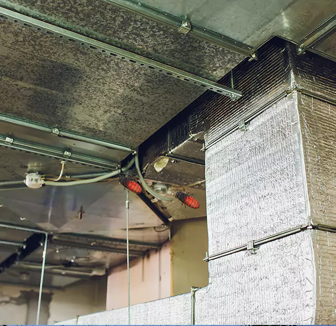 Why Homeowners & Businesses Trust Us in Frankfort, KY?