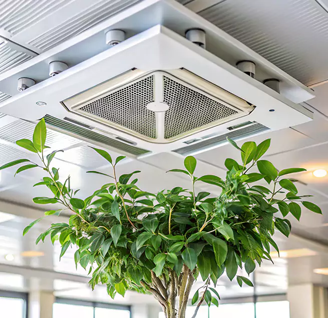 Why Homeowners & Businesses Trust Us in Frankfort, KY